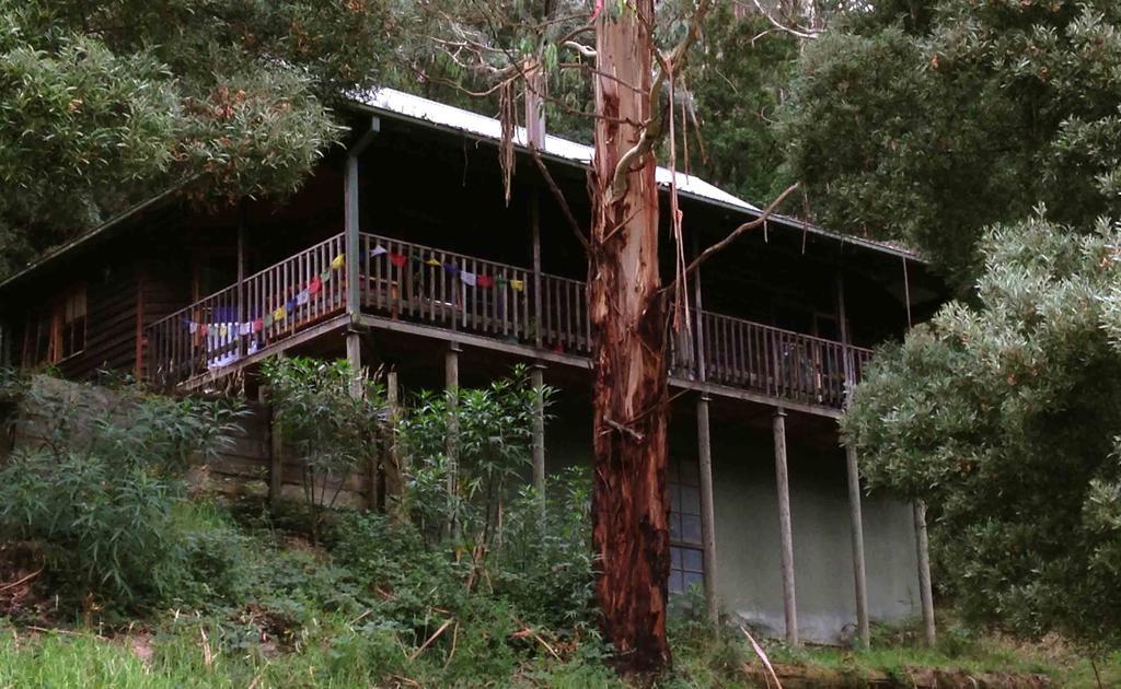 Tall Trees Eco Retreat - Blackwood Cottage Apollo Bay Exterior foto